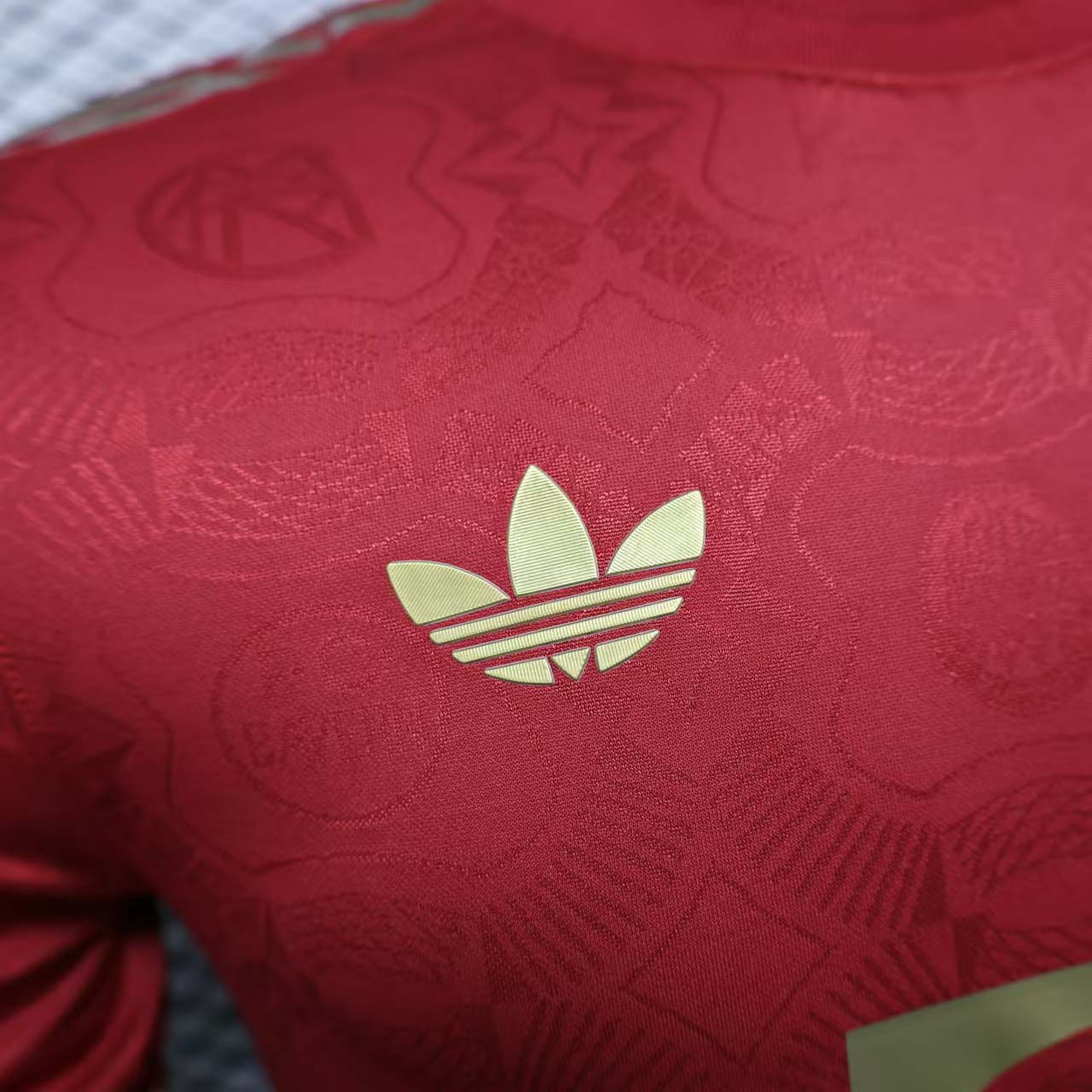 2024/2025 Player Version Bayern Munich 125th Anniversary Edition Football Shirt